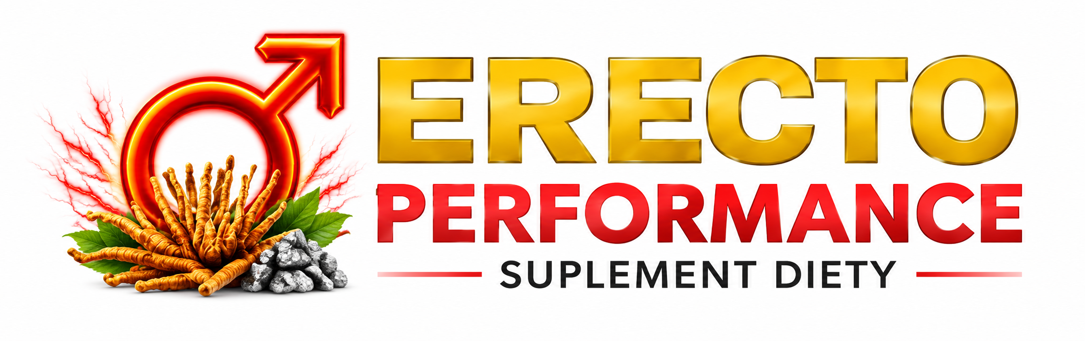 ERECTO PERFORMANCE